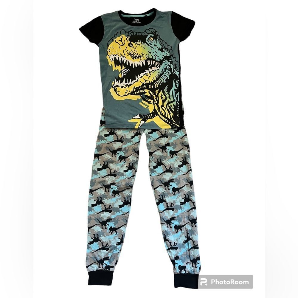 Harry Bear EUC Boys Dinosaur Pajama Set